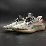 Adidas Yeezy Boost 350 V2 True Form - 5