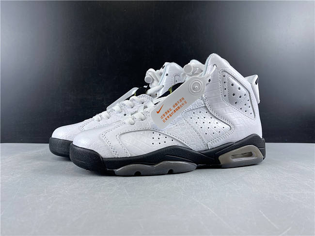 Air Jordan 6 Retro Alligator (GS)  - 1