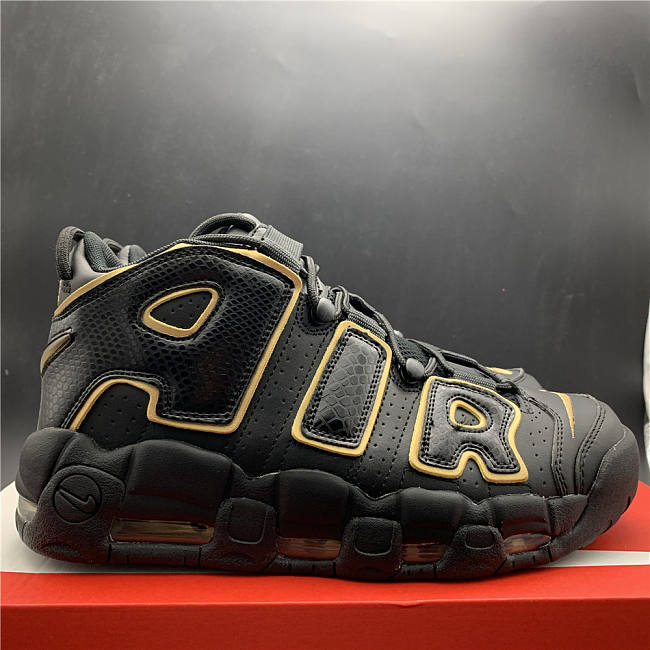 Nike Air More Uptempo 96 France  - 1