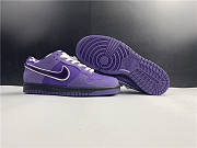 Nike SB Dunk Low Concepts Purple Lobster  - 5