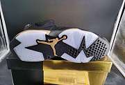 Air Jordan 6 Retro DMP (2020)  - 5