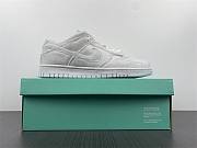 Dover Street Market x Nike Dunk Low DH2686-100 - 2