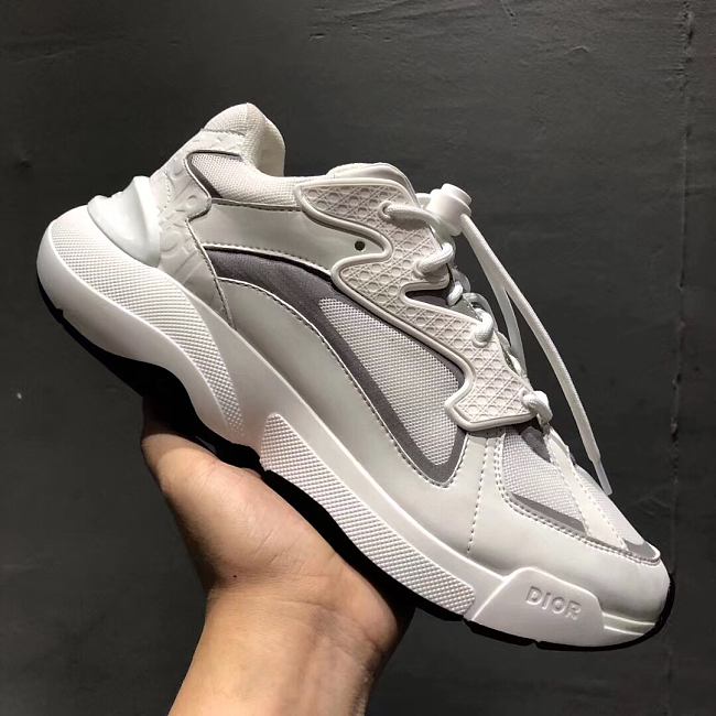 Dior B22 White Grey - 1