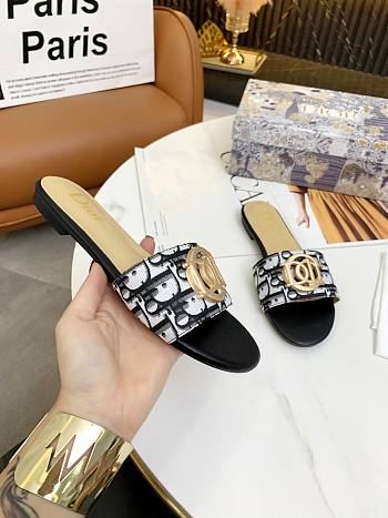 Christian Dior Dway Slide Grey