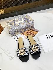 Christian Dior Dway Slide Grey - 5