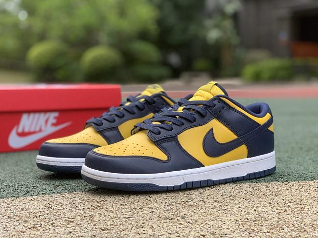 Nike Dunk Low Michigan DD1391-700 - 1