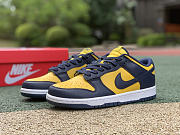 Nike Dunk Low Michigan DD1391-700 - 1