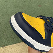 Nike Dunk Low Michigan DD1391-700 - 5