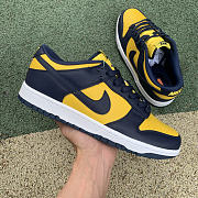 Nike Dunk Low Michigan DD1391-700 - 2