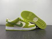 Nike SB Dunk Low Green Apple DM0807-300 - 5