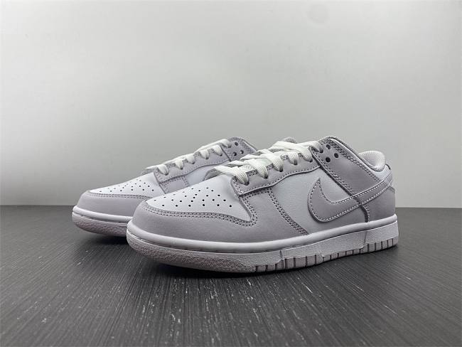 Nike Dunk Low Venice (W) DD1503-116 - 1