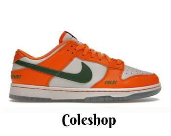 Nike Dunk Low Florida A&M University DR6188-800