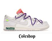 Nike Dunk Low Off-White Lot 15 DJ0950-101 - 1