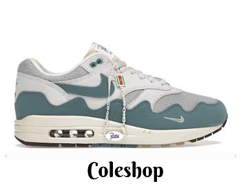 Nike Air Max 1 Patta Waves Noise Aqua (without Bracelet) DH1348-004