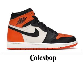 Air Jordan 1 Retro Shattered Backboard  555088-005