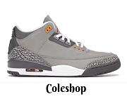 Air Jordan 3 Retro Cool Grey (2021) CT8532-012 - 1