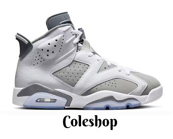 Air Jordan 6 Cool Grey CT8529-100