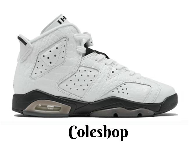 Air Jordan 6 GS “Alligator” 384665-110 - 1