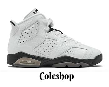 Air Jordan 6 GS “Alligator” 384665-110