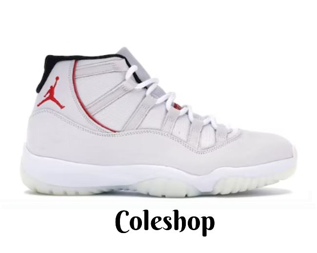 Air Jordan 11 “Platinum Tint” 378037-016 - 1