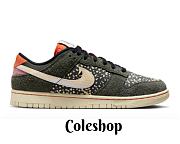 Nike Dunk Low Rainbow Trout  FN7523-300 - 1