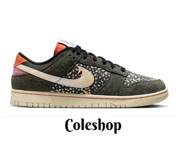 Nike Dunk Low Rainbow Trout  FN7523-300