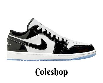 Air Jordan 1 Low SE Concord DV1309-100