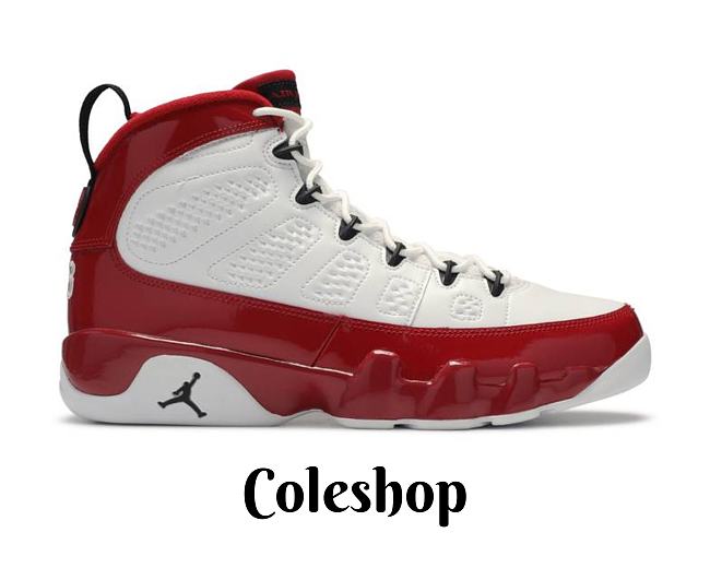 Air Jordan 9 Retro White Gym Red 302370-160L - 1