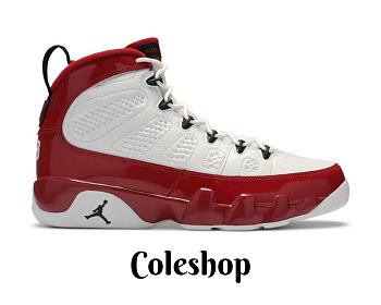 Air Jordan 9 Retro White Gym Red 302370-160L