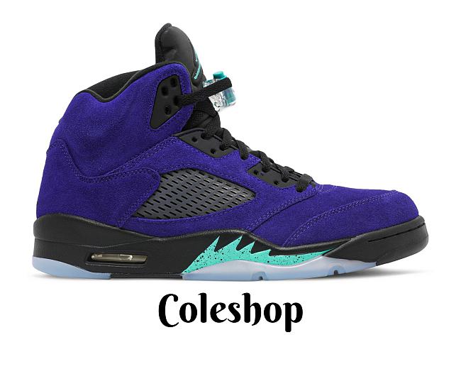 Air Jordan 5 Retro 'Alternate Grape' 136027-500 - 1