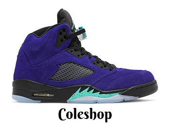 Air Jordan 5 Retro 'Alternate Grape' 136027-500