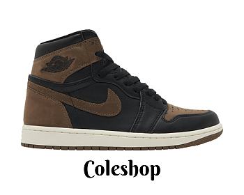 Air Jordan 1 High OG Palomino DZ5485-020